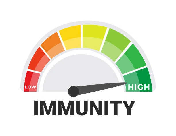 high immune system boosting